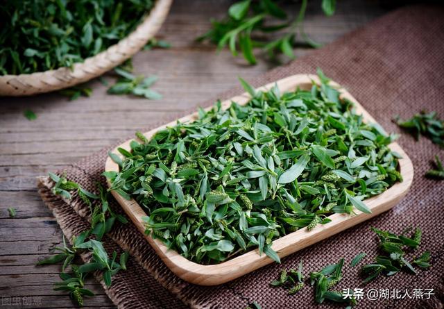 野菜种类有什么，野菜的种类和图片大全（你想要的野菜这里都有）