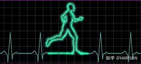 椭圆机和跑步机，椭圆机和跑步机哪个减肥效果好（哪种才是居家健身的最佳伴侣）