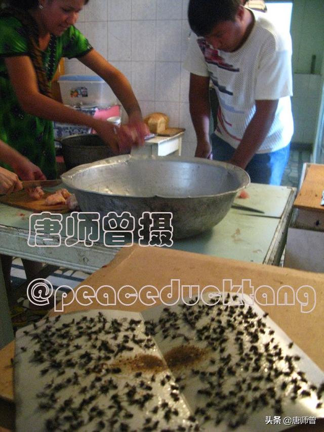 蛆长大了变成什么，20201204唐师曾