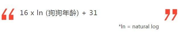 2个月拉布拉多吃多少粒 2个月拉布拉多吃狗粮可以不用水泡吗