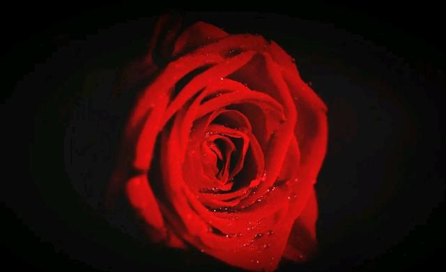 有缘无份是什么意思，佛教如何解释有缘无份（有一个人，注定与你有缘无份）