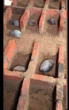 一人吃饱全家不饿什么意思，一人吃饱,全家不饿啥意思（搞笑：难道这就是传说中的）