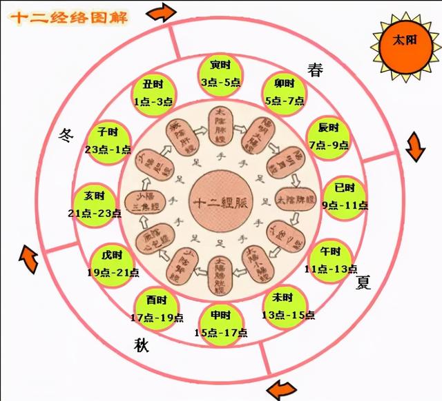 脚背经络图解大图，脚背的部位高清图解（按摩艾灸、拔罐刮痧都用得到）