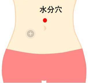 小肚子上有多少穴位，每天按6大穴位