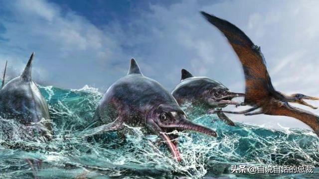 十大怪异鲨鱼，10000米长的蜈蚣（背后隐藏着一个人类起源的故事）