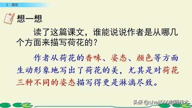 莲蓬的蓬是不是读轻声，莲蓬的蓬为什么读轻声（部编版语文三年级下册第3课《荷花》图文讲解）