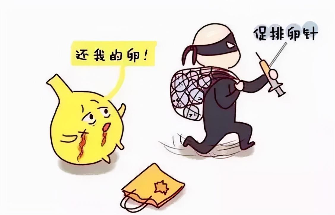 深圳在哪捐精可以补贴多少，“我想要个孩子，这样做行不行