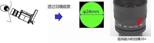 使用显微镜的步骤，显微镜的使用步骤顺序（一次搞懂工业测量显微镜）