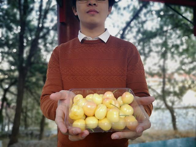 美早樱桃和车厘子区别，樱桃和车厘子区别（车厘子中的“奇兵”———名不副实的佳红大樱桃）