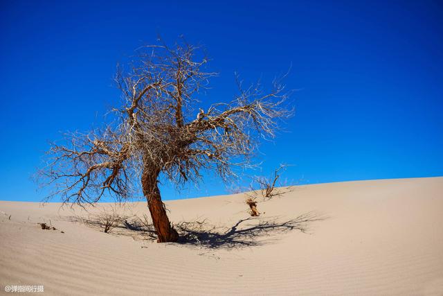 阿拉善属于哪个市，阿拉善在哪个省份哪个市（是自驾越野的荒凉秘境）
