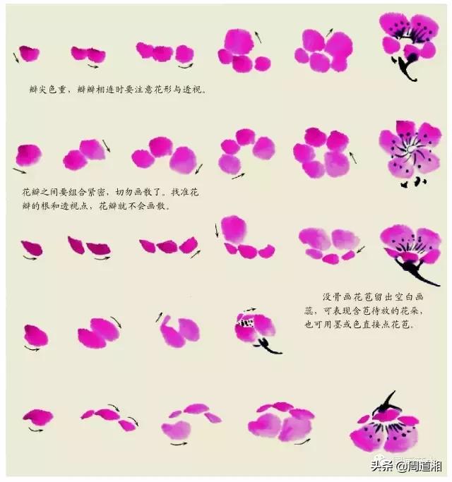梅花13怎么手绘画，教梅花13怎么画（国画入门教程——梅花的画法）