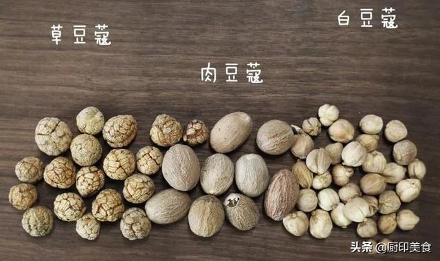 肉蔻是什么样子的，肉蔻是什么（三种最基本的香料肉蔻、草蔻、白蔻）