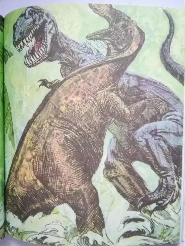 当时的恶金美金分别指的是,恶金美金指的是什么金属(世界顶级出版社的5套儿童百科全书) 当时的恶金美金分别指的是,恶金美金指的是什么金属(世界顶级出版社的5套儿童百科全书)