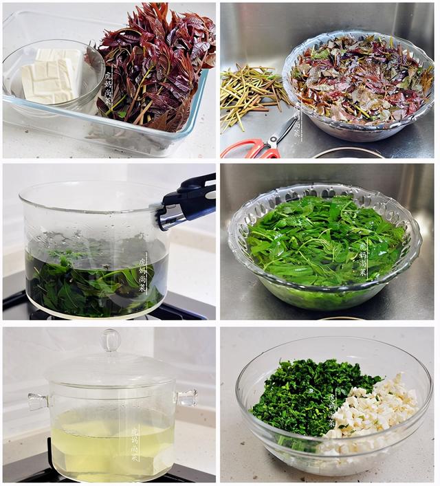 香椿芽怎么吃,香椿酱的制作方法步骤(香椿做法16种)