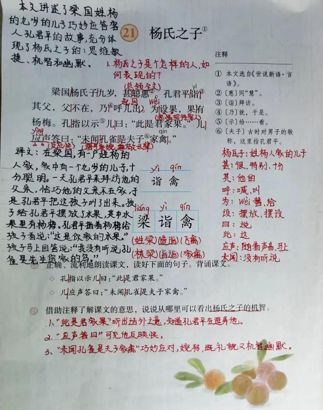 文言文杨氏之子，杨氏之子文言文的意思（五年级语文下册二十一课《杨氏之子》课文笔记）