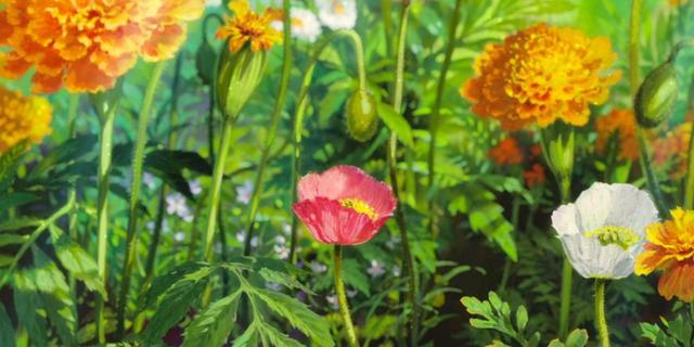 动漫背景图，动漫背景图 梦幻（宫崎骏动漫世界场景背景图）