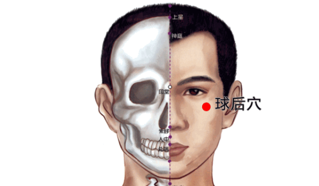 鱼腰的准确位置和作用，个个都是穴位学中的高手