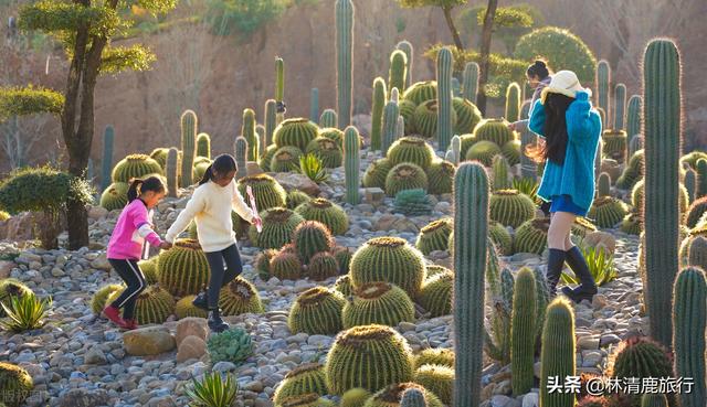 西双版纳几月份去最好，西双版纳自由行旅游攻略5天（云南这些美丽小县城）