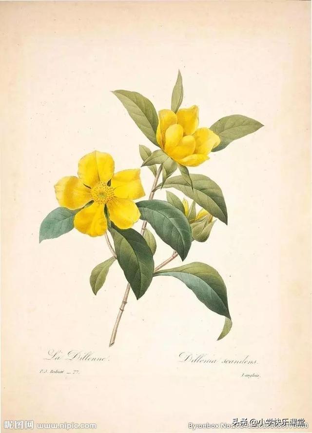 秃宝盖加几念什么字，秃宝盖加几（这些记生字的儿歌太有趣了）