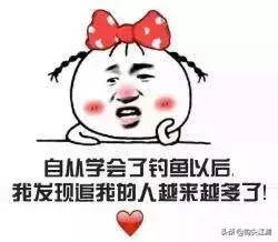 钓鱼表情包(禁止钓鱼emoji表情)