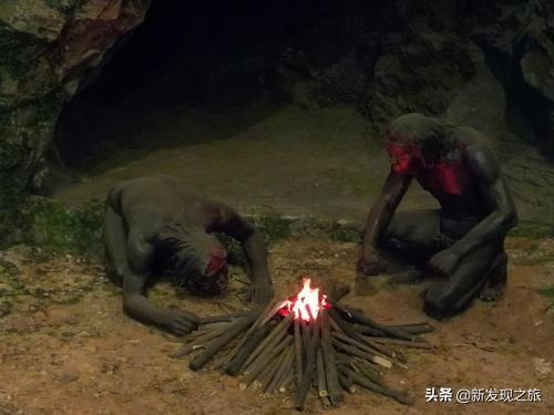 原核生物有哪些，高中生物原核生物有哪些（从原核生命到人类文明）