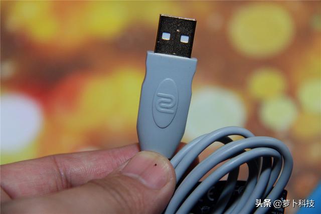 divina跳蚤防治，吡虫啉灭跳蚤（职业FPS选手标配）