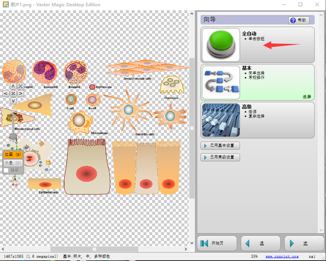 矢量图是什么意思，矢量图是什么 AI（位图转换为矢量图——基于VectorMagic的操作）