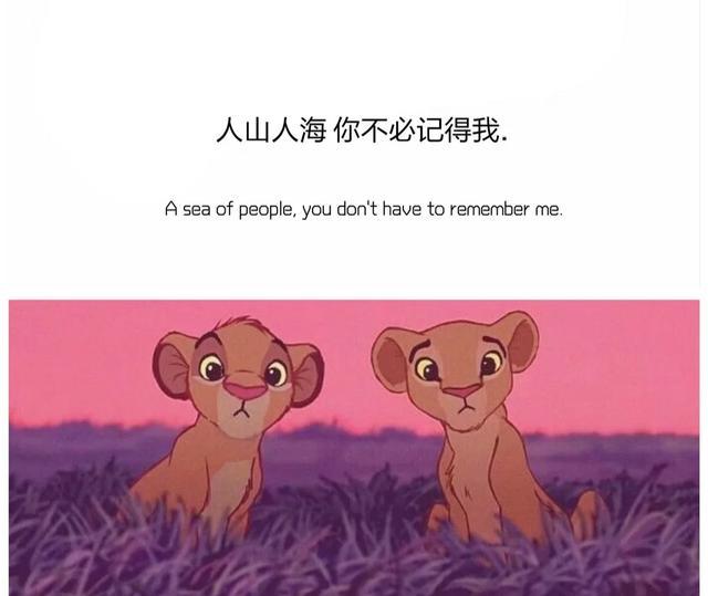 心甘情愿歌词，甘心情愿原唱歌词（心甘情愿这个词既卑微也勇敢）