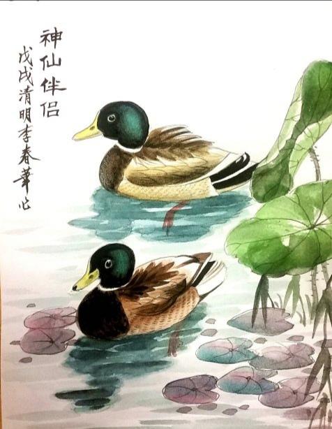 鸭子是什么意思呀，男生当鸭子是什么意思呀