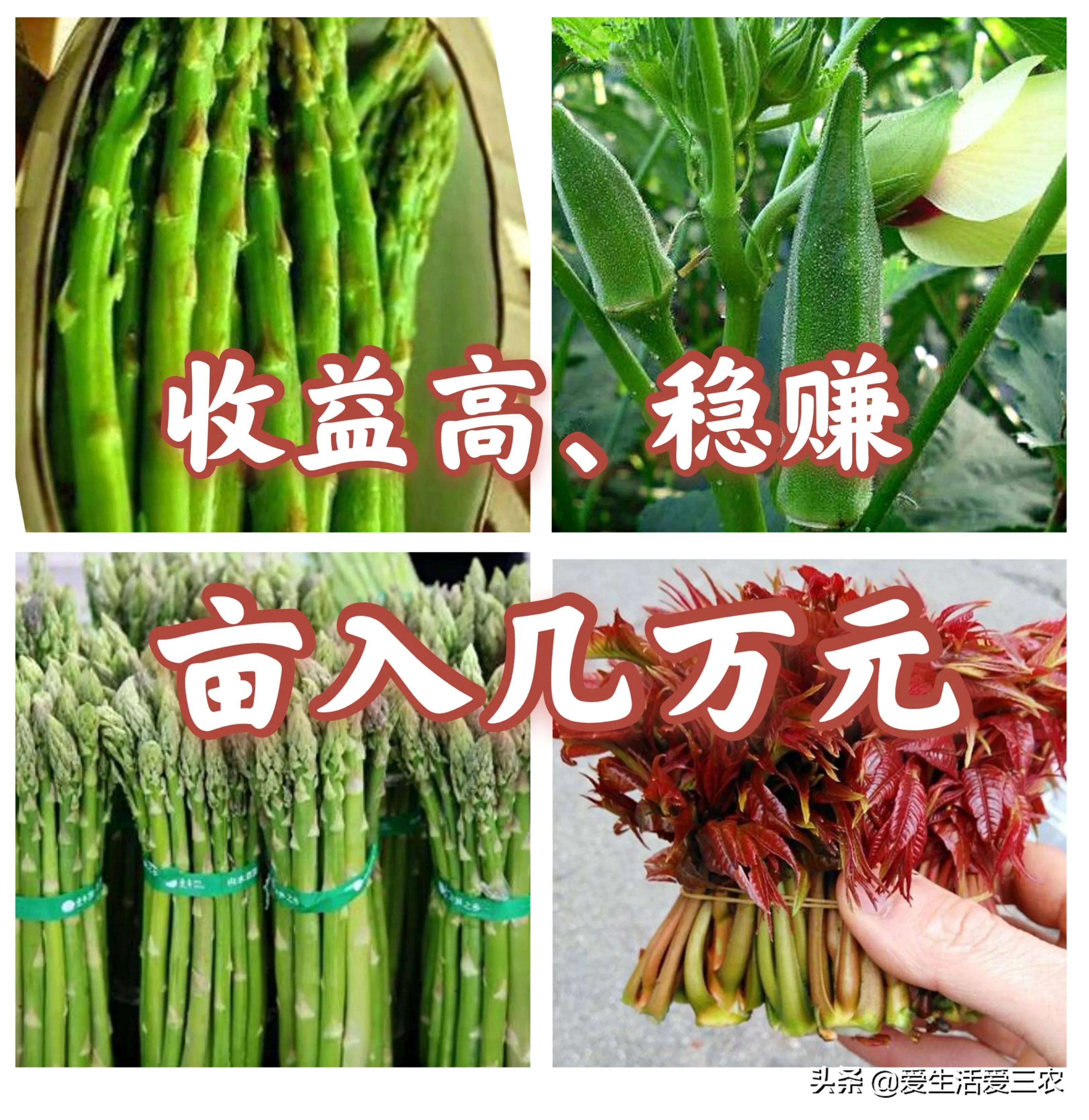 种植什么赚钱(投资1000元养殖)
