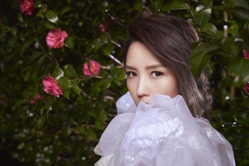 何洁多大年龄了，何洁多大结的婚（34岁何洁坦言失业三个月）