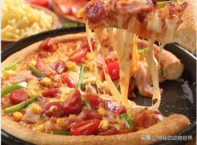 炼奶是什么，炼奶可以做什么（奶油、黄油、芝士、炼乳是牛奶如何加工来的）