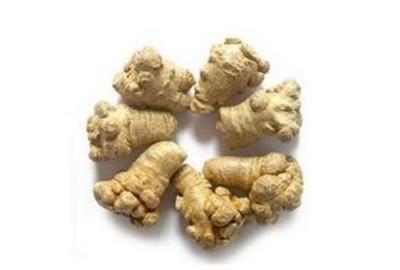 三七种植方法，盆栽三七图片（家种三七的种植方法、病虫害防治及优质丰产栽培技术）