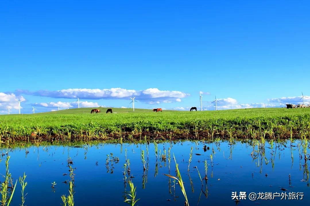 黄花沟旅游景区(黄花沟旅游景区门票价格)插图(7)