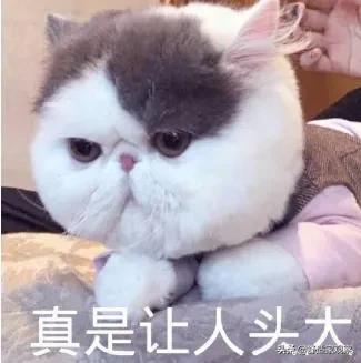 地暖分集水器分开安装，地暖分集水器到底装哪里最合适
