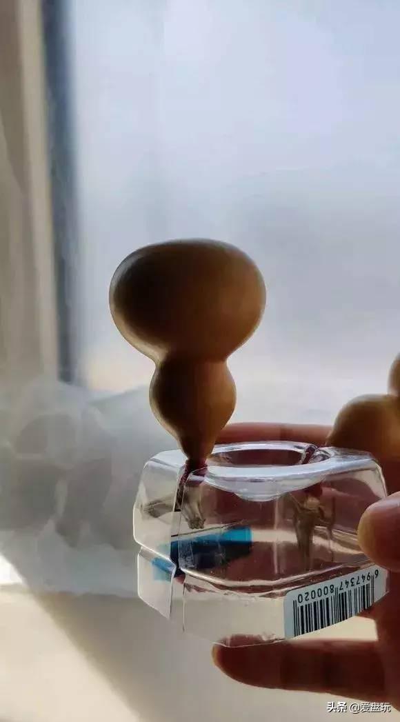 山核桃手串，手串玩1年（山核桃手串怎么盘红润）