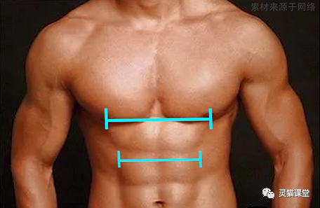 简单快速的画腹肌，简单腹肌画法（非常零基础的小白绘画教程）