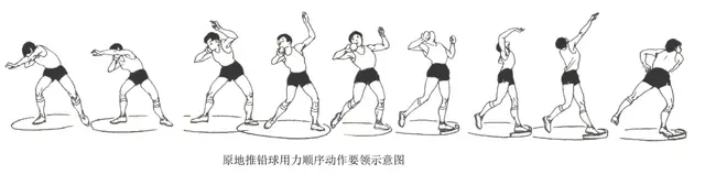 扔铅球的正确姿势，扔铅球的技巧（中考体育项目居家锻炼指南③）
