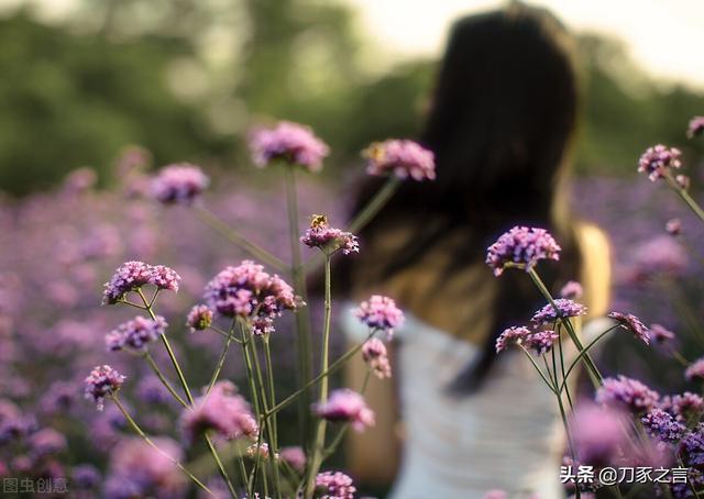 遇到不讲理的人怎么办，碰到不讲理的人怎么办（遇到蛮不讲理的人）