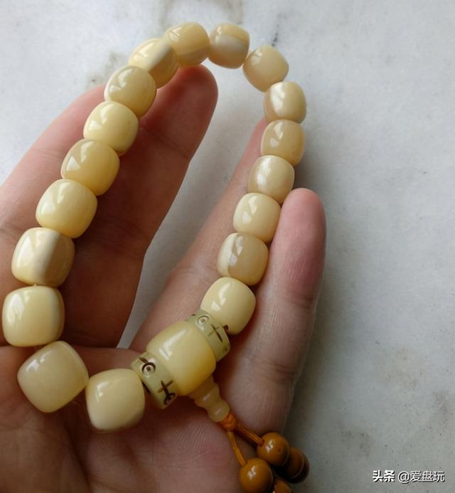 象牙果是什么东西，象牙果是什么东西（真的入手生润）