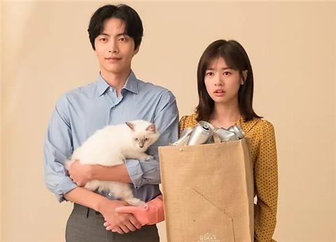 提亲和订婚有什么区别，提亲和订婚有什么区别1988（定亲和订婚有什么区别）