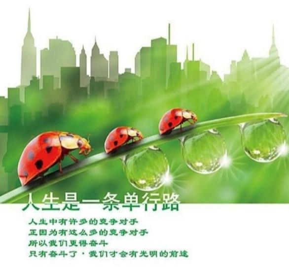 感悟人生图片大全，最精辟人生感悟短句图片（唯美图文：十句关于人生的感悟）