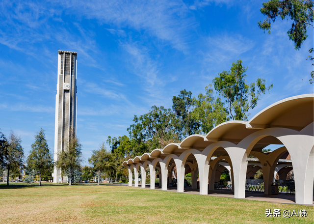 什么是州立大学，美国州立大学有哪些（美国最自由的公立大学）