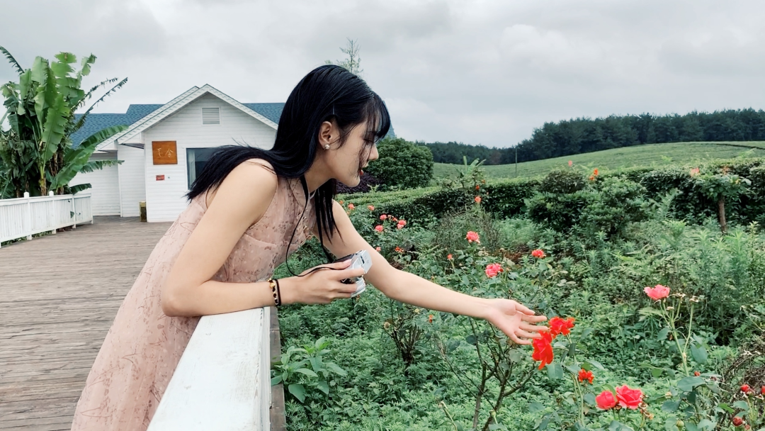 怎样拍视频(想学拍视频从哪里开始)