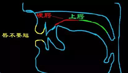 平翘舌不分怎么办，普通话平翘舌音不分怎么办（如何训练平翘舌读音）