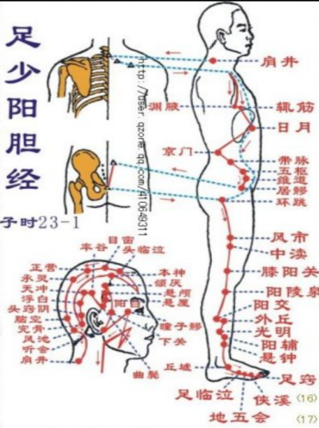 十二经络走向记忆法，十二经络走向记忆法2（12首穴位歌诀教你瞬间记住经络走向）