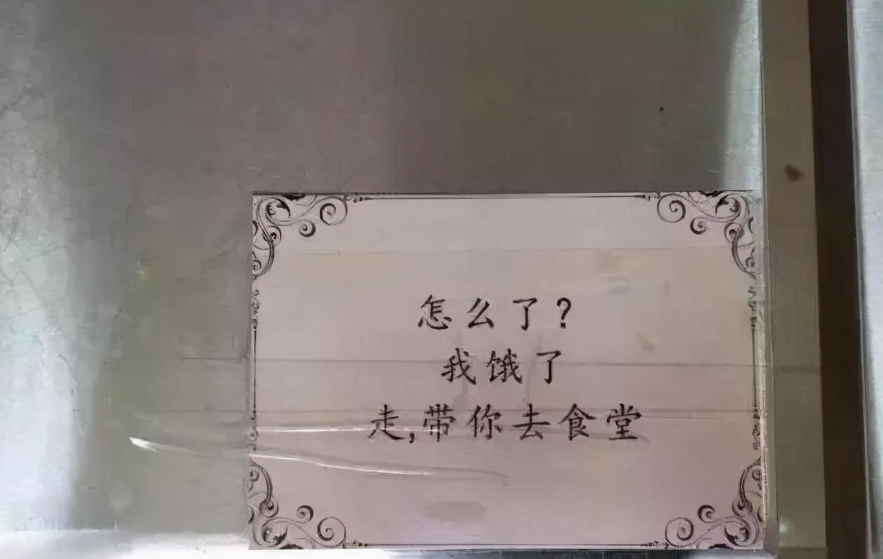 学校食堂标语（大学食堂标语走红）