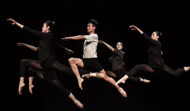 什么是舞蹈鉴赏，什么是舞蹈鉴赏的本质（从手、腿、躯干开始）