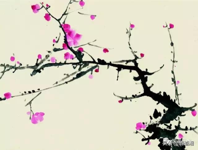 梅花13怎么手绘画，教梅花13怎么画（国画入门教程——梅花的画法）