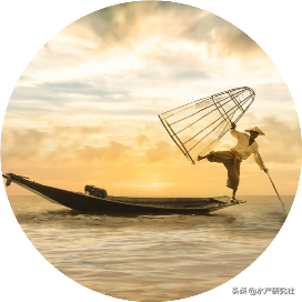 王八吃什么样的饲料，小王八吃什么饲料（甲鱼鳖类养殖之中华鳖的常用饲料）